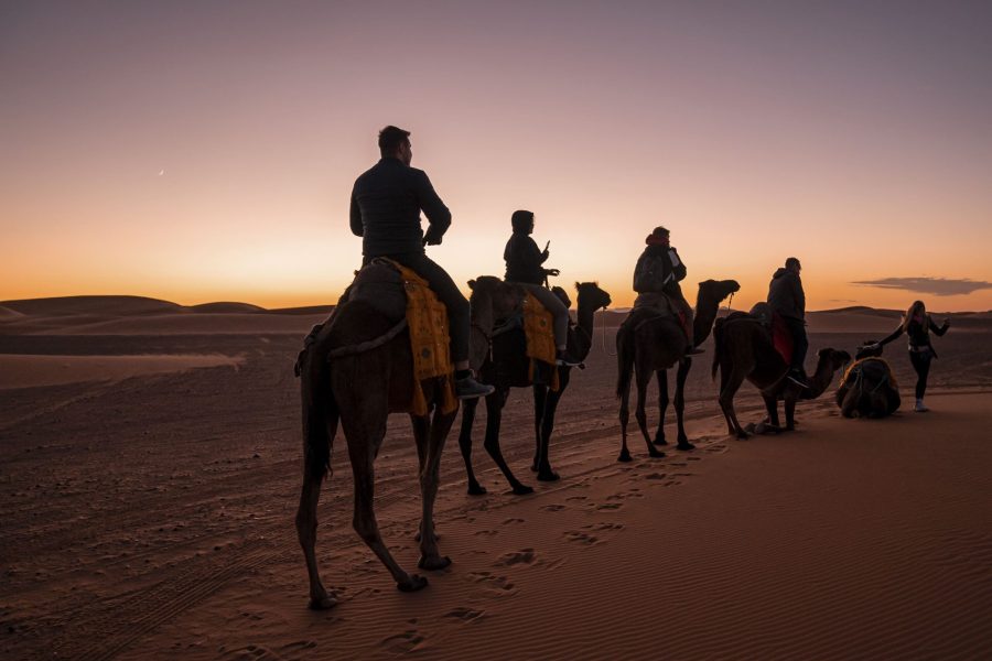 vecteezy_caravan-of-camels-with-tourists-going-through-the-sand-in_5134317